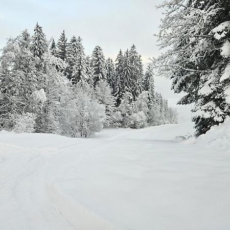 Alpen Studio Ellmau II Esterno foto