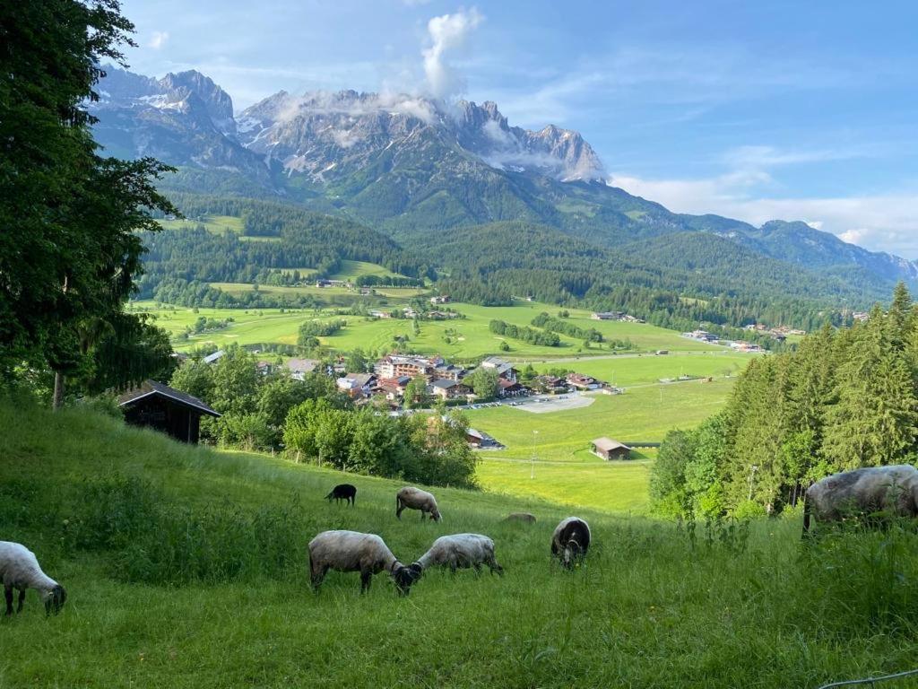 Alpen Studio Ellmau II Esterno foto