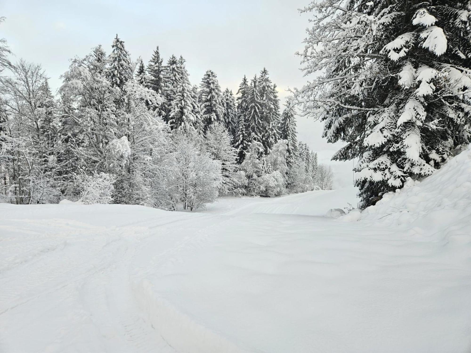 Alpen Studio Ellmau II Esterno foto